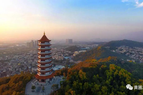 最大限度激發市場主體活力！市長危偉漢到黃圃調研，參觀廣東榮業食品有限公司